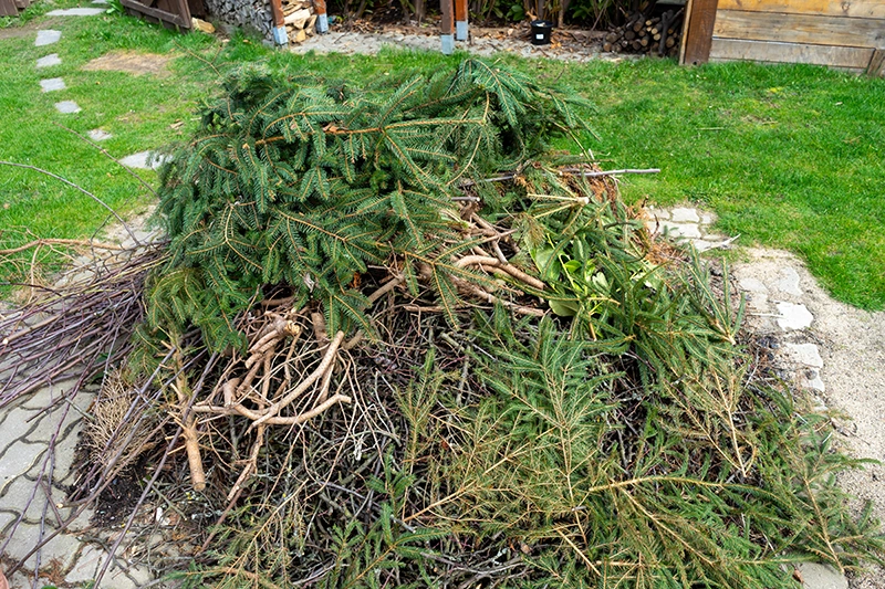 Container Gartenabfall